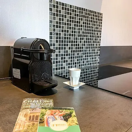 Appartement A1 Champagne Loft - 105 M2 6 Personnes - Place De La République - En Champagne