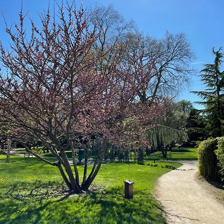 A1 Champagne Loft - 105 M2 6 Personnes - Place De La Republique - En Champagne