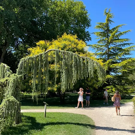 A1 Champagne Loft - 105 M2 6 Personnes - Place De La Republique - En Champagne *