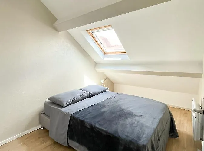 Apartman A1 Champagne Loft - 105 M2 6 Personnes - Place De La Republique - En Champagne *