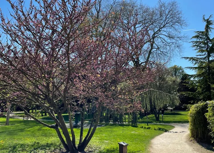 A1 Champagne Loft - 105 M2 6 Personnes - Place De La Republique - En Champagne