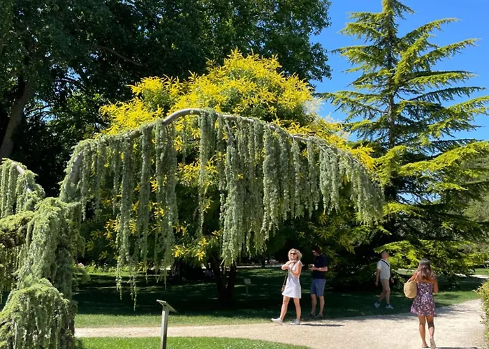 A1 Champagne Loft - 105 M2 6 Personnes - Place De La Republique - En Champagne *